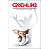 Gremlins Domestic Poster