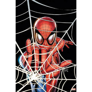Spider-Man Domestic Poster