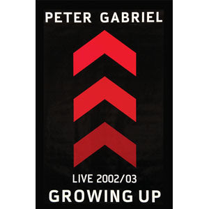 Peter Gabriel Domestic Poster